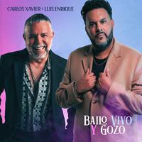 Bailo Vivo y Gozo