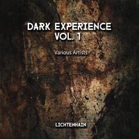 Dark Experience, Vol. 1