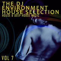 The DJ Environment: House Selection, Vol. 7