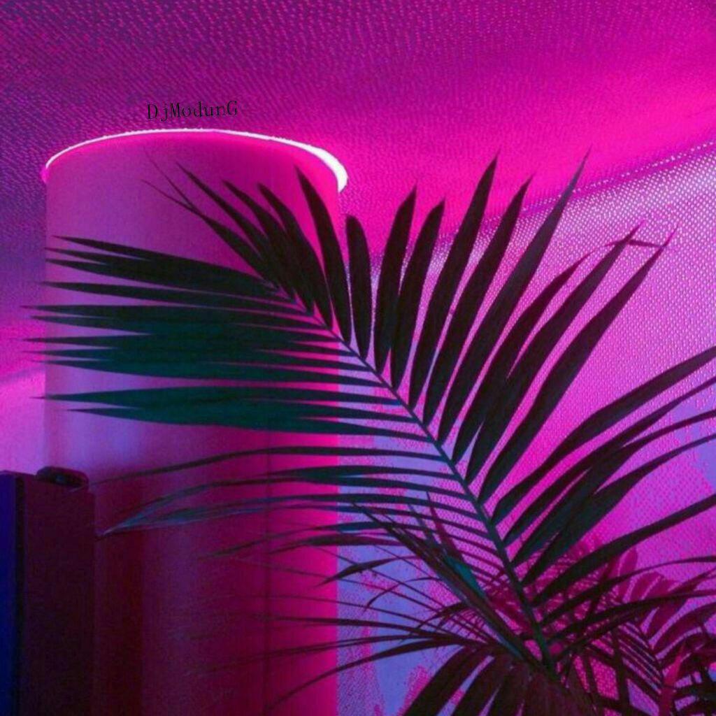 比酒驾更危险的是电驾