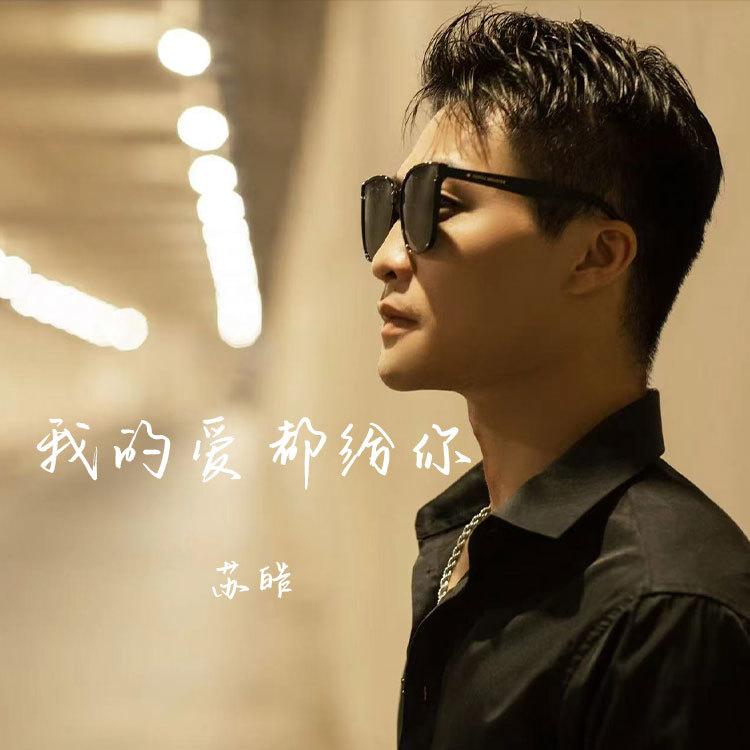 我的爱都给你 (苏皓DJ版伴奏)封面