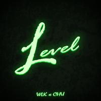 Level