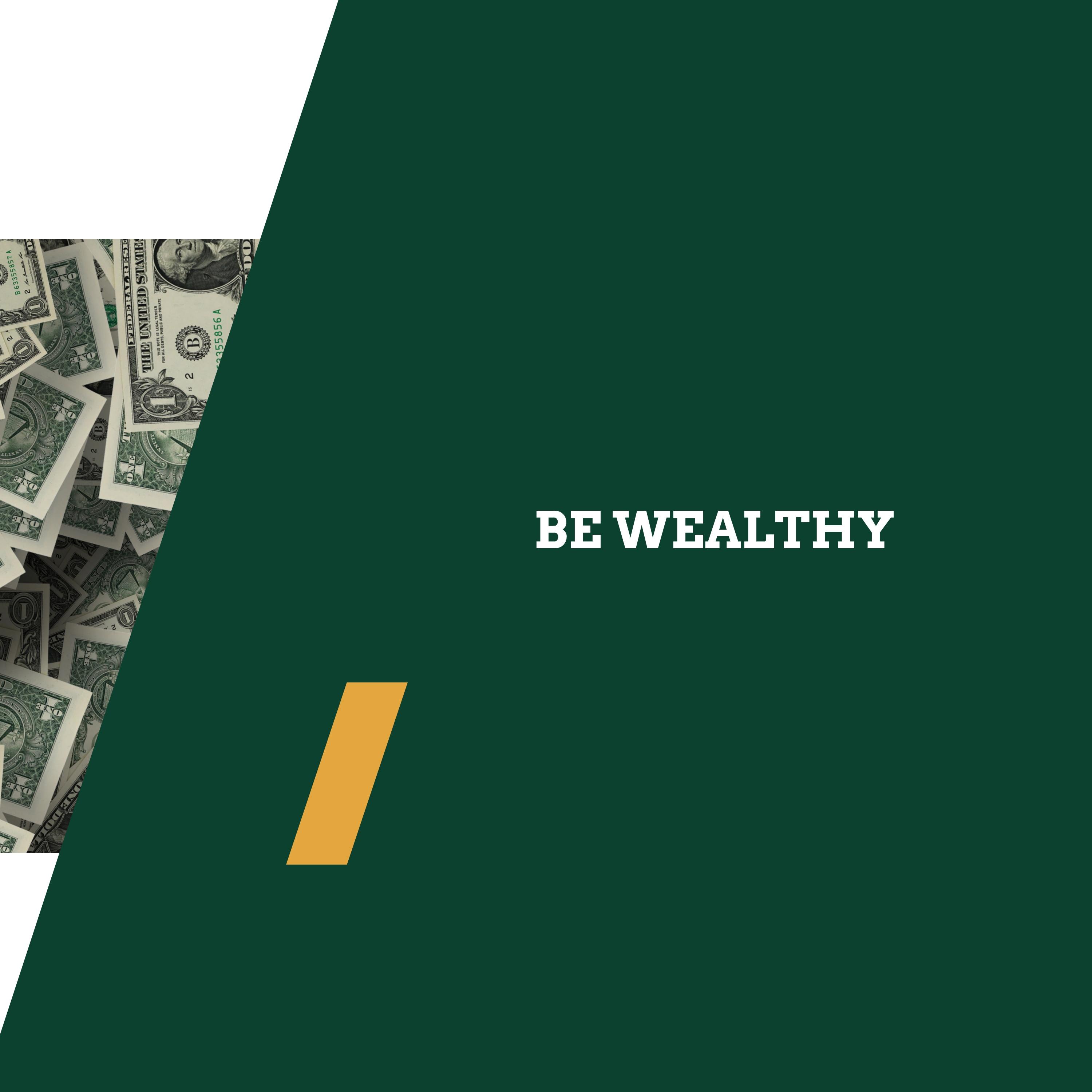 I Am Paid For My Skill