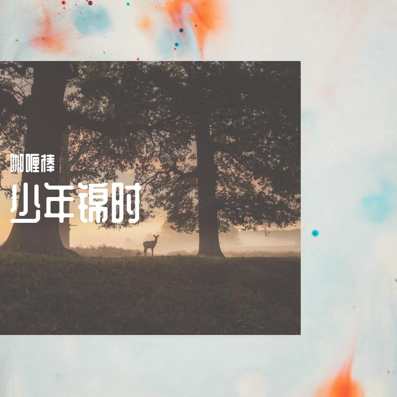 少年锦时封面