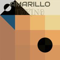 Amarillo Torino