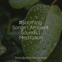 #Soothing Songs | Ambient Sounds | Meditation