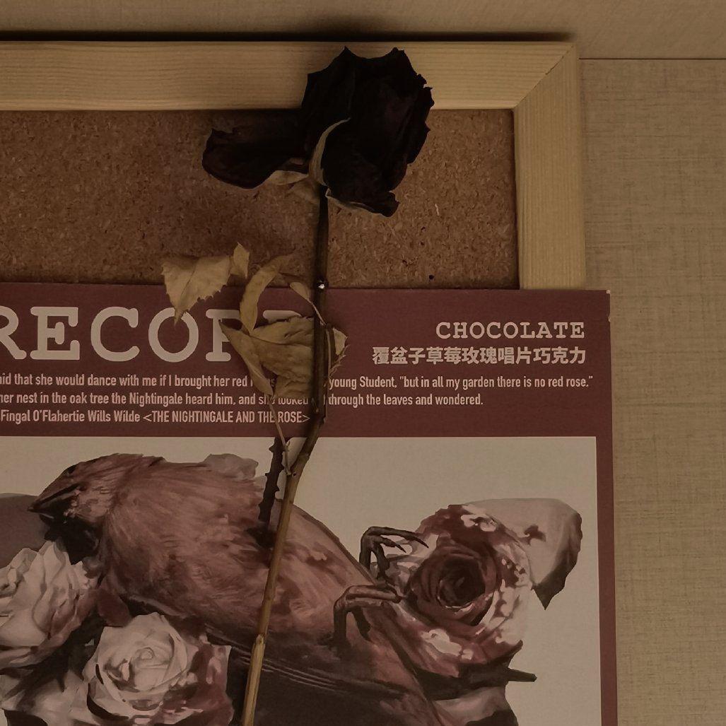 小霞-我的美丽（ZengZ remix）