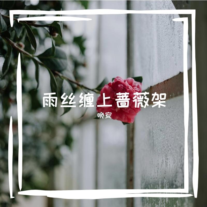 雨丝缠上蔷薇架封面