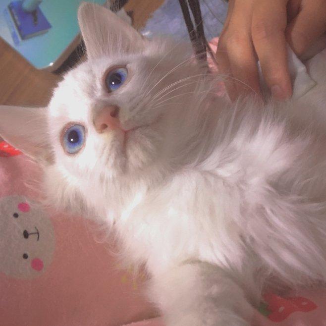 超级舒服复古vlog音乐