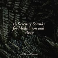 50 Serenity Sounds for Meditation and Sleep