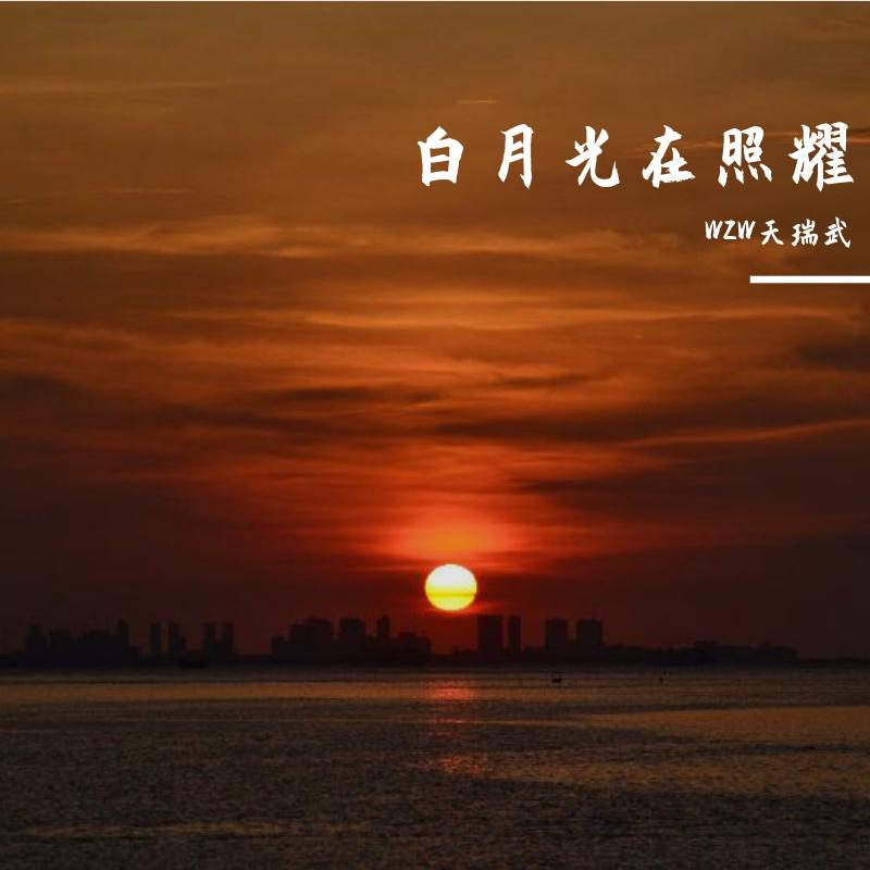 无尽的苍茫星河封面