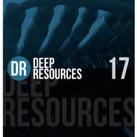 Deep Resoures, Vol. 17