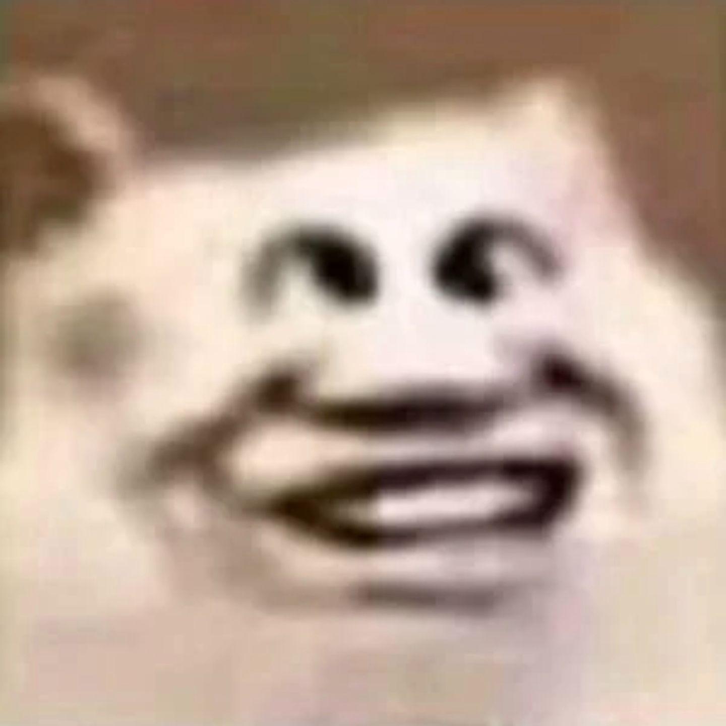 蚊子叫封面