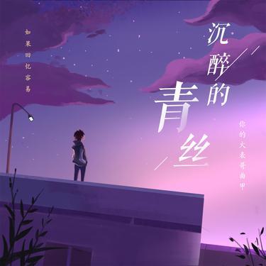 沉醉的青丝 (DJ版)封面