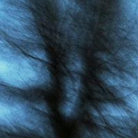 我和狗都不想听资料,我和狗都不想听最新歌曲,我和狗都不想听MV视频,我和狗都不想听音乐专辑,我和狗都不想听好听的歌
