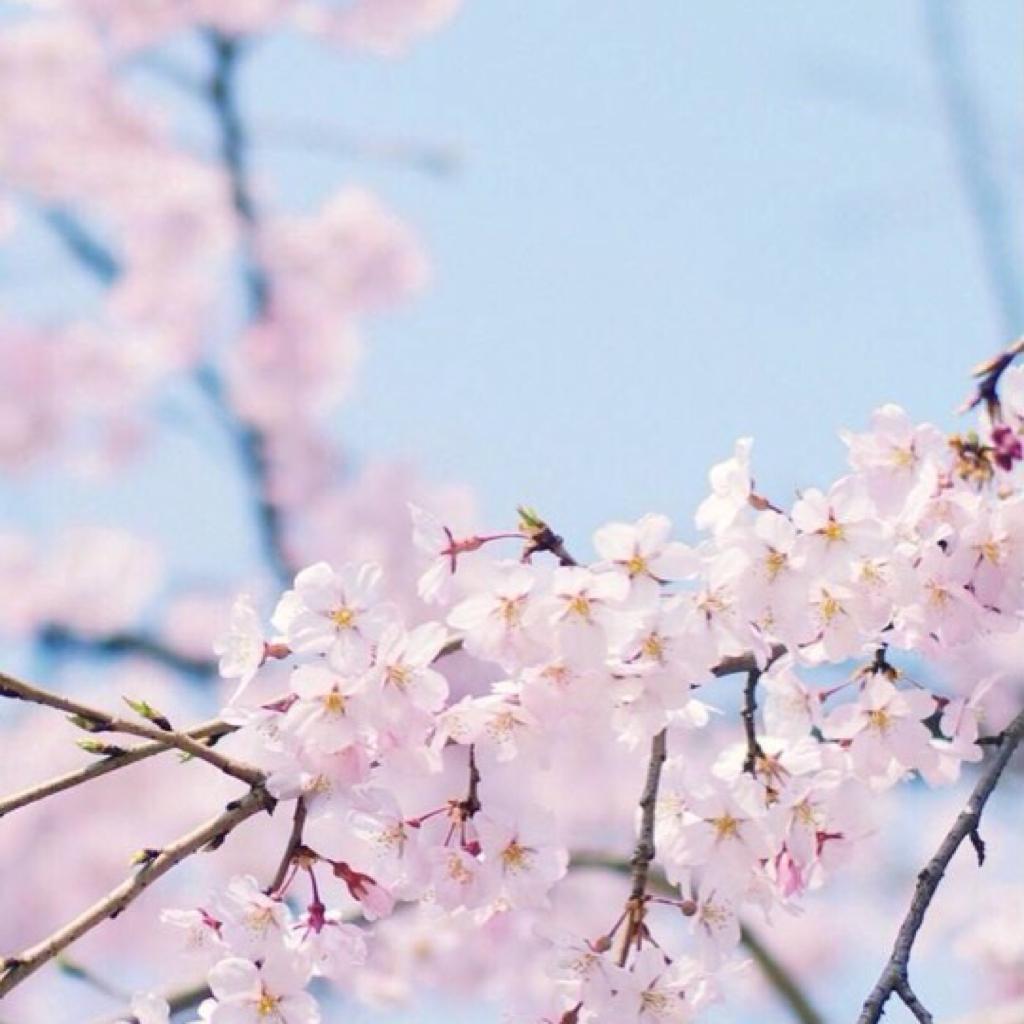 自由宁静的沙漠