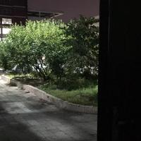 鲸榆资料,鲸榆最新歌曲,鲸榆MV视频,鲸榆音乐专辑,鲸榆好听的歌