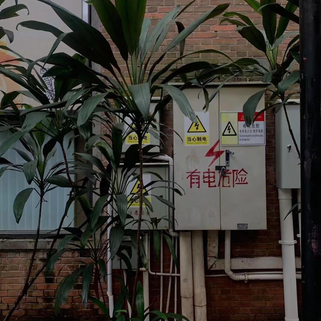 风吹封面