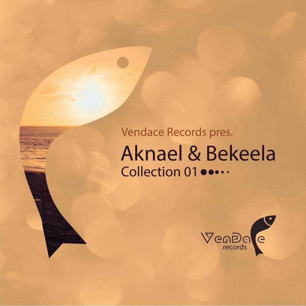 Reunion (Aknael & Bekeela Remix)