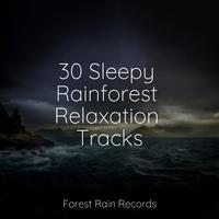 30 Sleepy Rainforest Relaxation Tracks