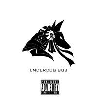 Underdog 808, Vol. 1