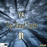 Top Rated Tracks 01