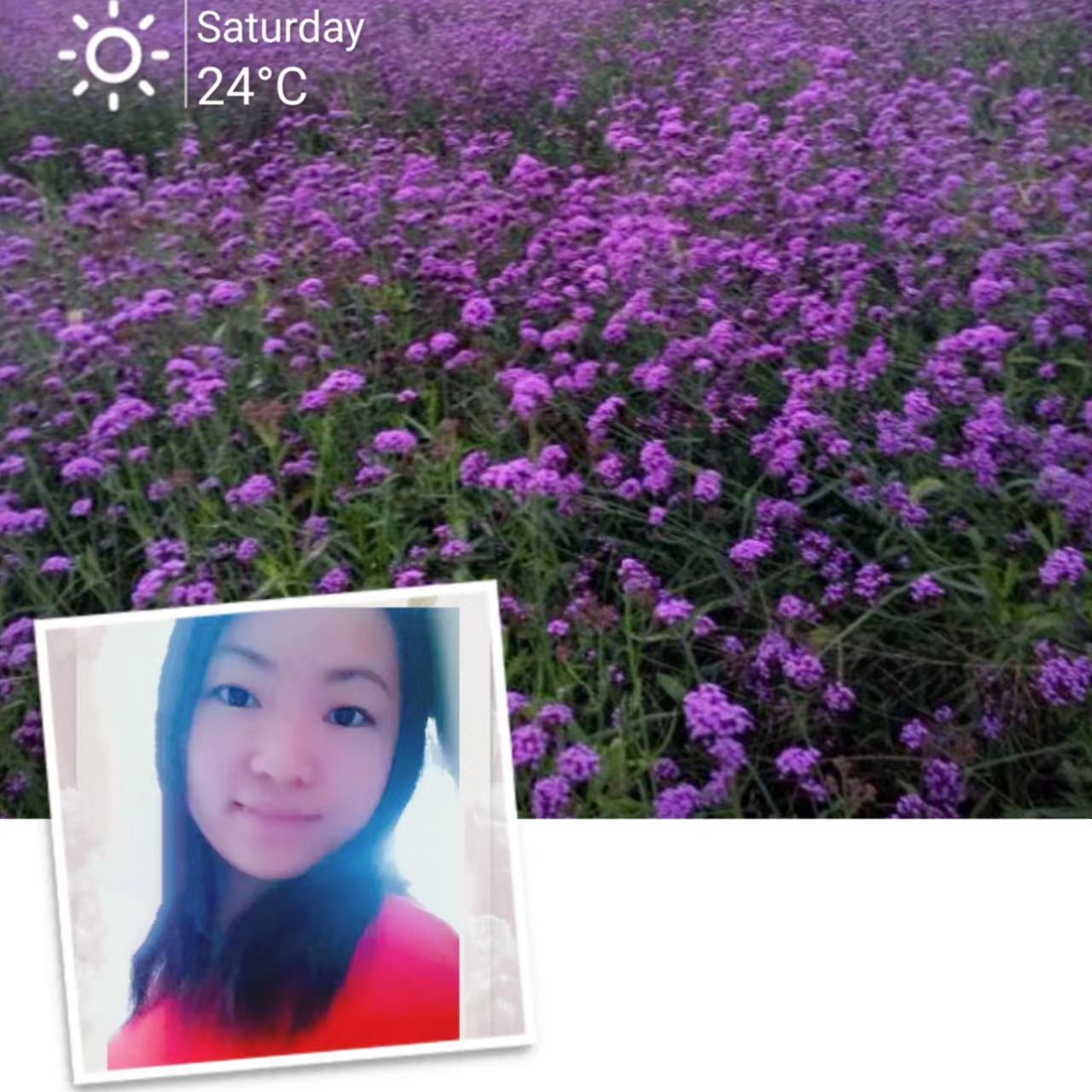 究竟他是谁_☀阿瓦000封面