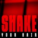 Shake Your Hair专辑