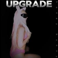 Upgrade