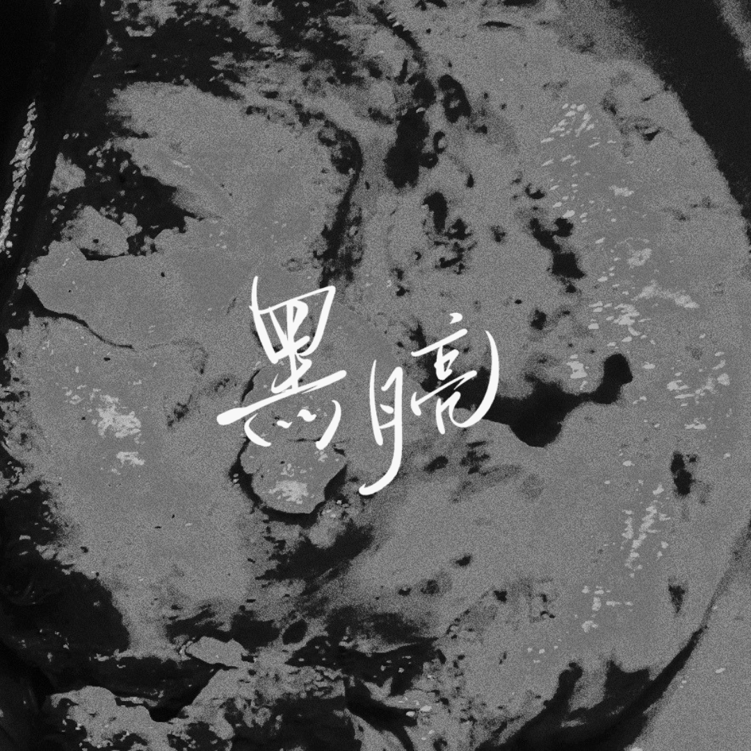 黑月亮封面