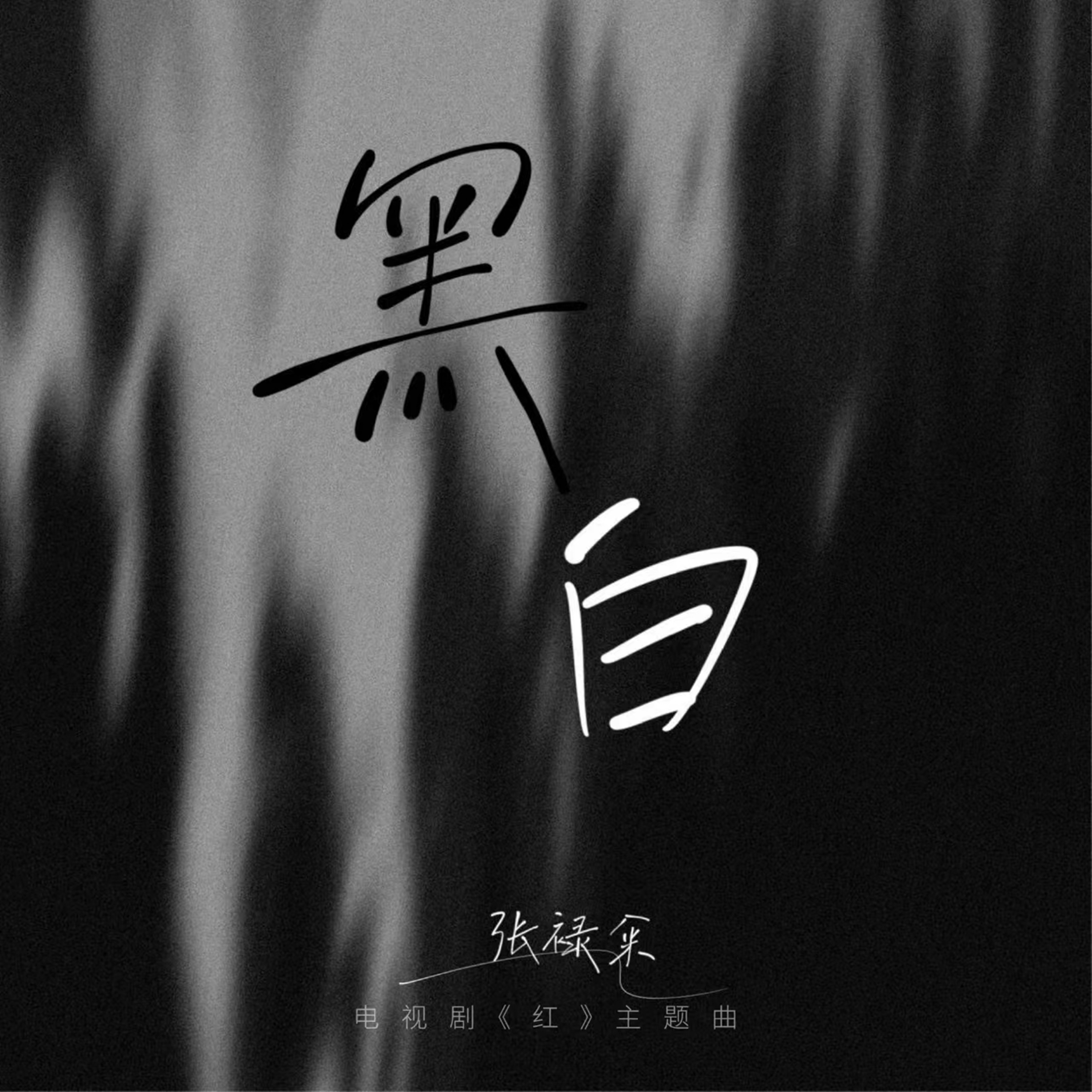 黑白 (伴奏)封面