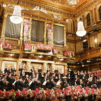 Wiener Philharmoniker资料,Wiener Philharmoniker最新歌曲,Wiener PhilharmonikerMV视频,Wiener Philharmoniker音乐专辑,Wiener Philharmoniker好听的歌