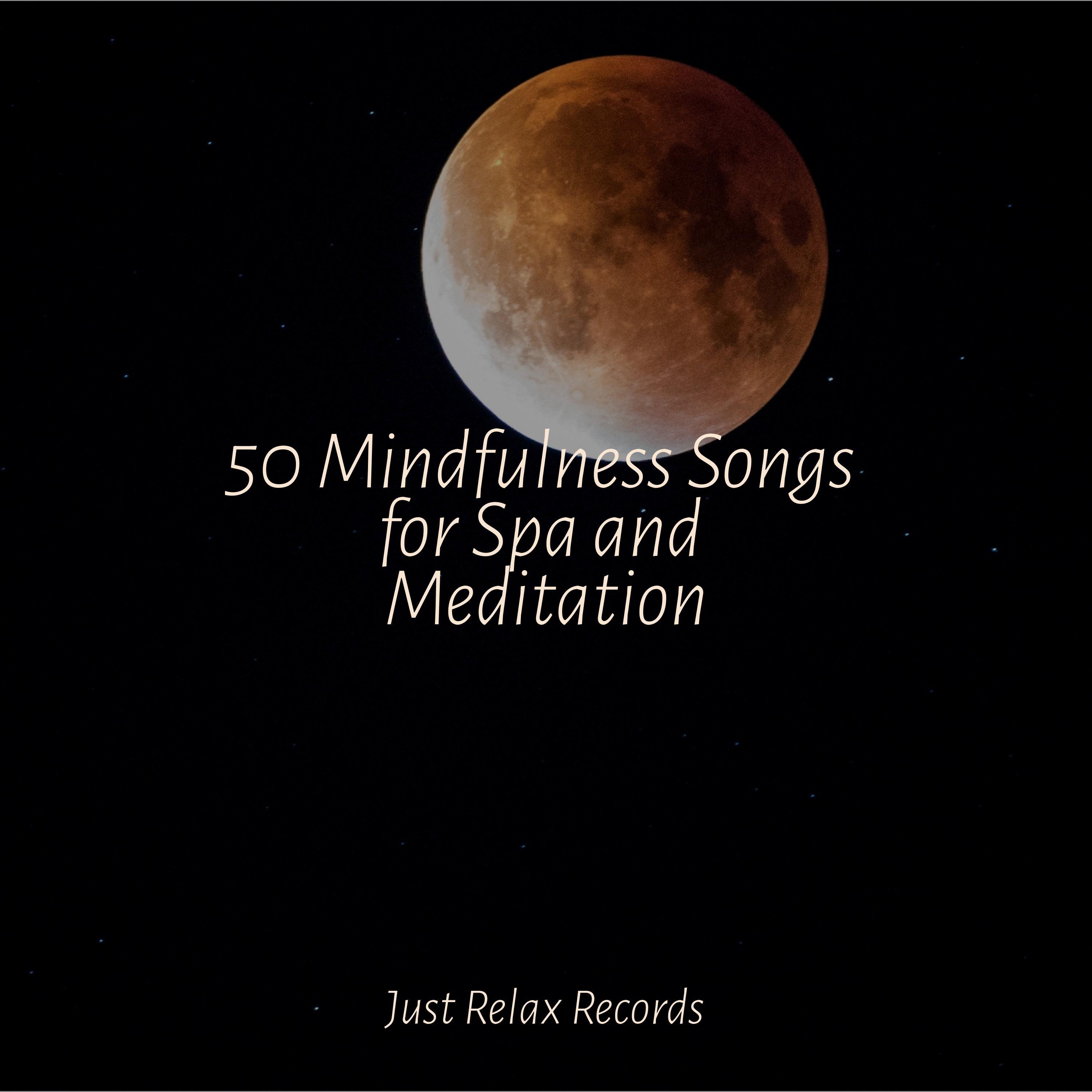 Fading Ember Fantasia_Meditation Awareness_50 Mindfulness Songs for Spa and Meditation | 在线播放_Fading Ember Fantasia歌词_Fading Ember Fantasia下载 | 网易云音乐