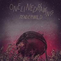 Tenderwild