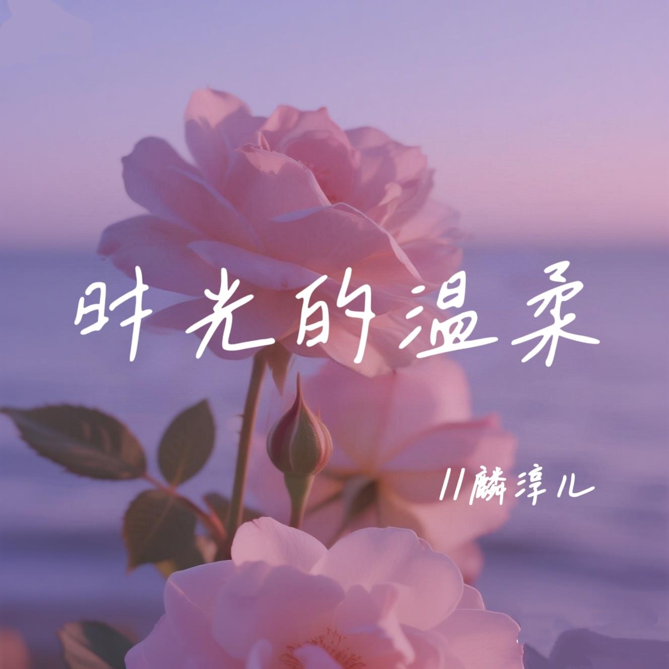 时光的温柔(伴奏) - 麟淳儿封面