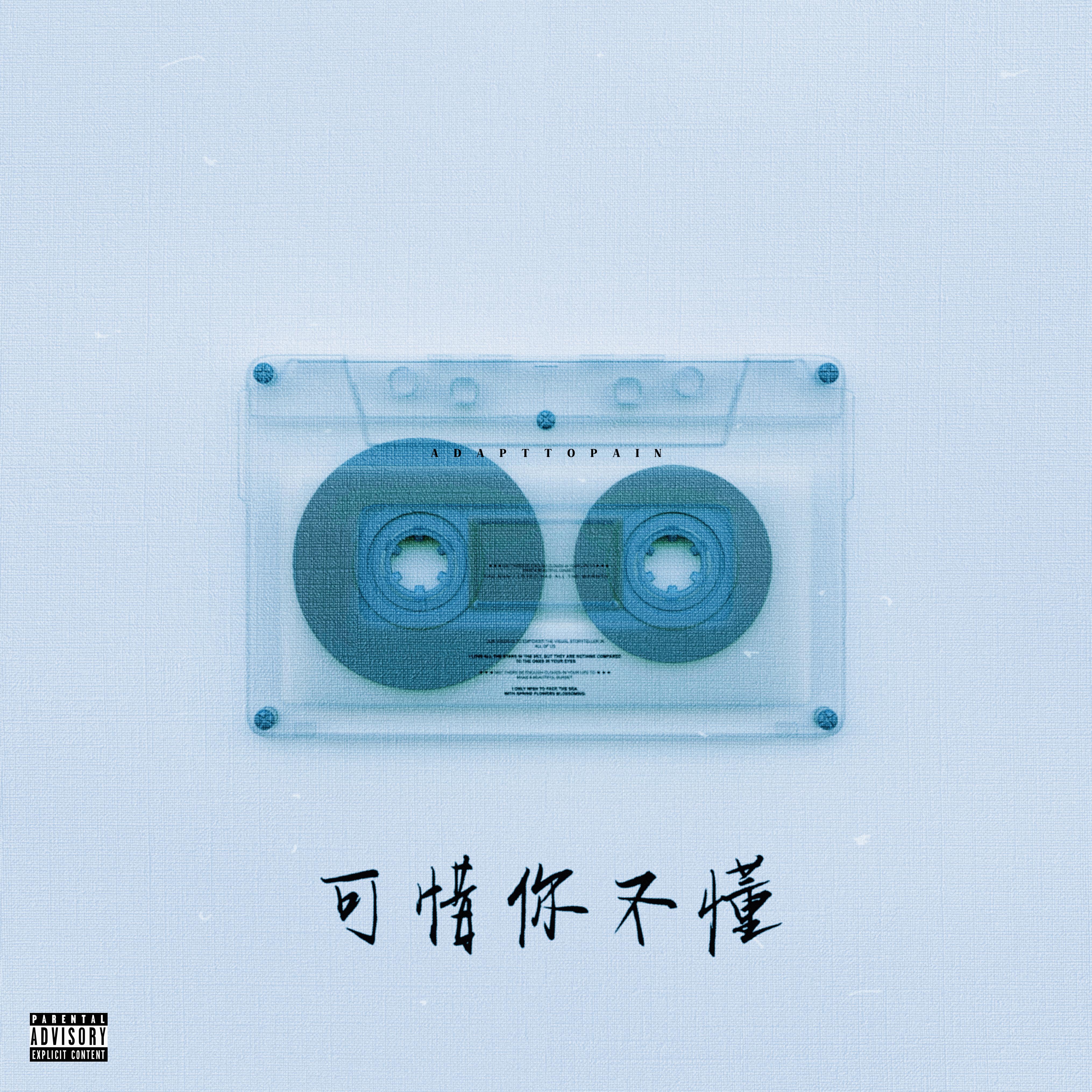 可惜你不懂(synth pop)