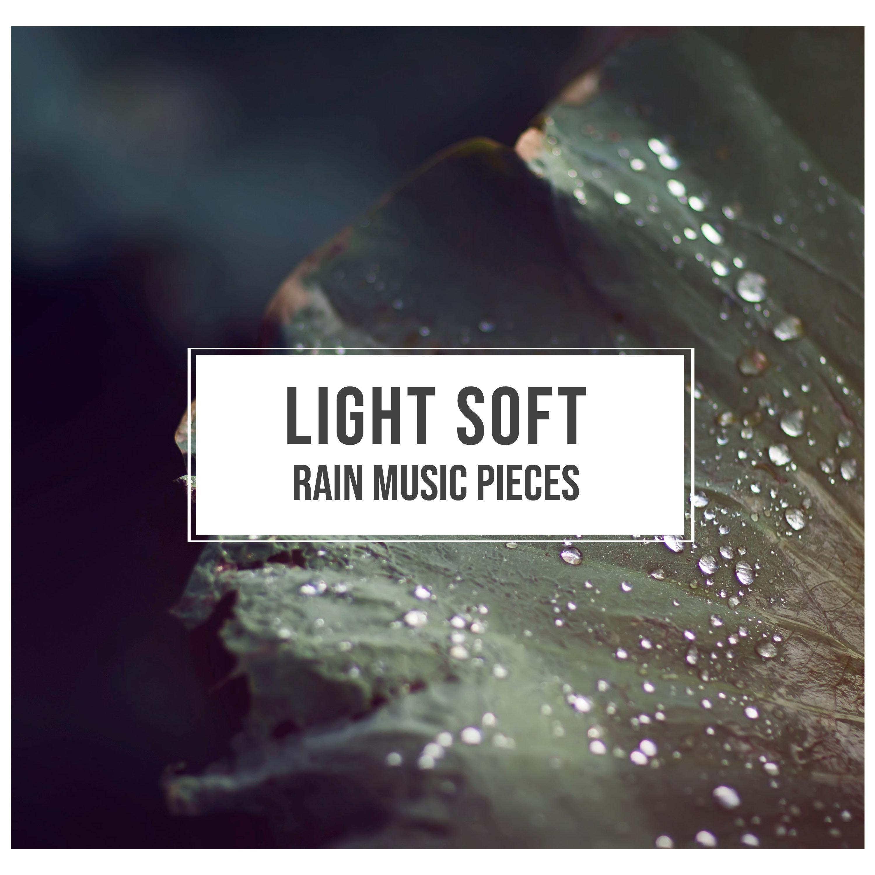 nature sounds nature music 所属专辑:#10 light soft rain music