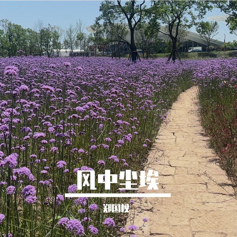 老街的时光封面