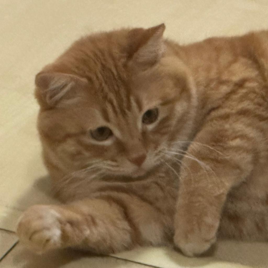 不开心了，kh听会音乐吧