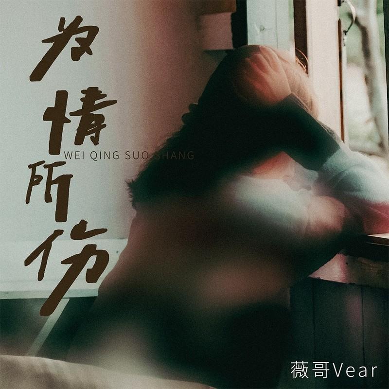 为情所伤 (豪大大DJ版)封面