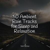 50 Ambient Rain Tracks for Sleep and Relaxation