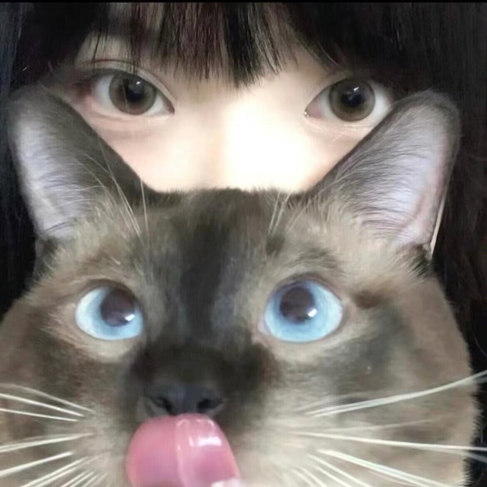 命运已做出了他的选择