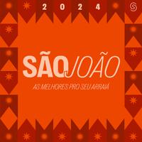 São João 2024 - As Melhores Pro Seu Arraiá