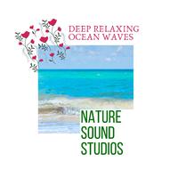 Nature Sound Studios - Deep Relaxing Ocean Waves