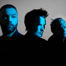 Muse