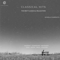 The Best Classical Relaxation, Massenet- Tchaikovski- Beethoven- Grieg- Haydn- Fibich- Svenosen