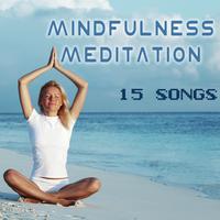 15 Mindfulness Meditation Hit List