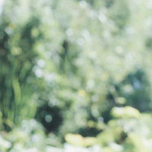 冰块碰撞（夏天的歌）