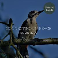 Connecting to Peace - Nature Music