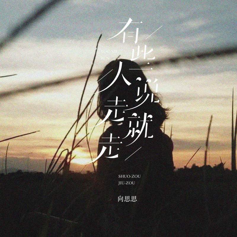 有些人说走就走 (伴奏)封面